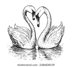 Pareja de cisnes en el bosquejo dibujado a mano en el estanque en la ilustración estilo doodle