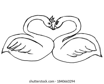 Pair of swans in shape of a heart. Symbol of love. Vector, sketch illustration in primitive, children style. Can be used for printing and web design