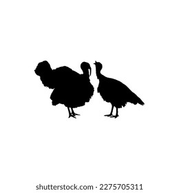 Pair of  theTurkey Silhouette for Art Illustration, Pictogram or Graphic Design Element. The Turkey is a large bird in the genus Meleagris. Vector Illustration