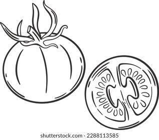 Par de tomates enteros y medio grabados a mano. Esbozo de tinta verduras clip art. tomates maduros dibujados a mano, ilustración vectorial aislada