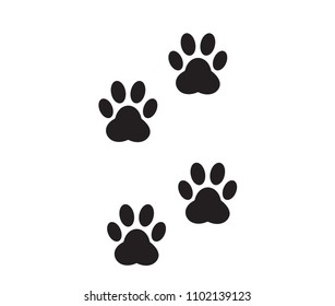 
A pair of traces from the paws (imprint) of a wild animal. 