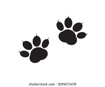 A pair of traces from the paws (imprint) of a wild animal. 