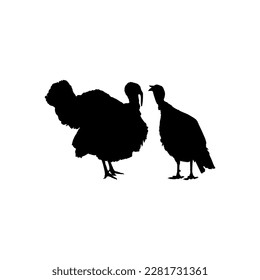 Pair of Turkey Silhouette for Art Illustration, Pictogram or Graphic Design Element. The Turkey is a large bird in the genus Meleagris. Vector Illustration