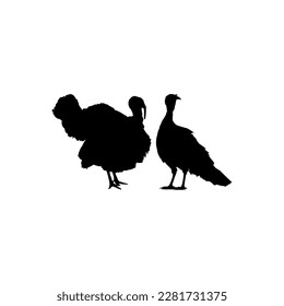 Pair of Turkey Silhouette for Art Illustration, Pictogram or Graphic Design Element. The Turkey is a large bird in the genus Meleagris. Vector Illustration