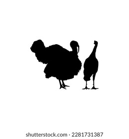 Pair of Turkey Silhouette for Art Illustration, Pictogram or Graphic Design Element. The Turkey is a large bird in the genus Meleagris. Vector Illustration