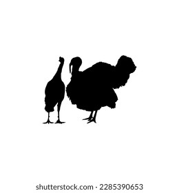 Pair of Turkey Silhouette for Art Illustration, Pictogram or Graphic Design Element. The Turkey is a large bird in the genus Meleagris. Vector Illustration