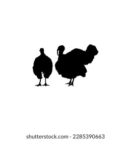 Pair of Turkey Silhouette for Art Illustration, Pictogram or Graphic Design Element. The Turkey is a large bird in the genus Meleagris. Vector Illustration