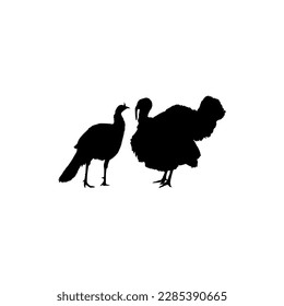 Pair of Turkey Silhouette for Art Illustration, Pictogram or Graphic Design Element. The Turkey is a large bird in the genus Meleagris. Vector Illustration