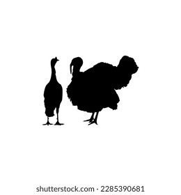 Pair of Turkey Silhouette for Art Illustration, Pictogram or Graphic Design Element. The Turkey is a large bird in the genus Meleagris. Vector Illustration