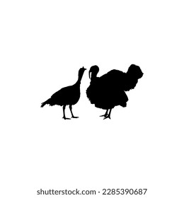Pair of Turkey Silhouette for Art Illustration, Pictogram or Graphic Design Element. The Turkey is a large bird in the genus Meleagris. Vector Illustration