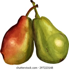 A pair of watercolor pears, scalable vector graphic