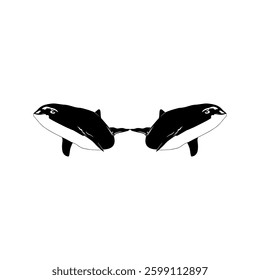 Pair Whale Silhouette, Flat Style, can use for Logo, Apps, Pictogram, Ecology Poster, or Graphic Design Element. Vector Illustration