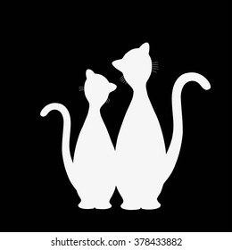 Pair of white cats on black background