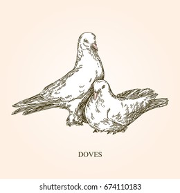 Pair of white doves. Vintage style. Vector illustration.