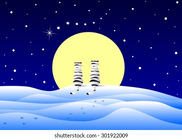 A pair of white tigers in the background of the moon and a falling star