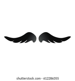 Pair of wings