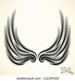 Pair of wings Elements for design, EPS10 Vector background