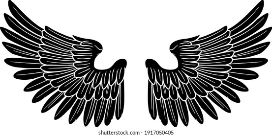 A pair of wings possibly belonging to an angel or eagle or other bird