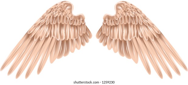 A pair of wings, shading by gradient mesh.