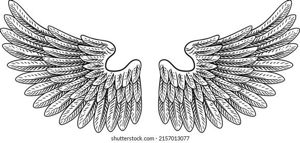 A pair of wings in a vintage engraved retro style