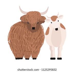 Pair of yak and cow isolated on white background. Portrait of pair of cute cartoon domestic cattle animals standing together, farm livestock. Colorful hand drawn vector illustration in modern style.