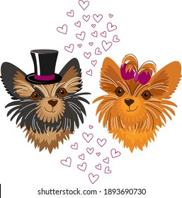 Pair of Yorkshire terriers in love. Funny portraits of dogs, lady with ribbon and gentleman in hat. Cute couple of pets. Cartoon characters, vector illustration isolated on white background 