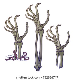 Pair of zombie hands rising from the ground and torn apart. lifelike depiction of the rotting flesh with ragged skin, protruding bones and cracked nails. Conceptual art. EPS10 vector illustration