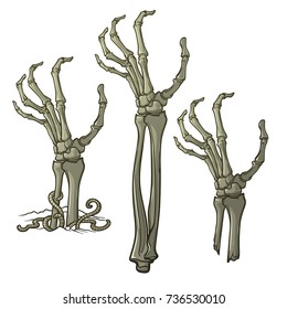 Pair of zombie hands rising from the ground and torn apart. lifelike depiction of the rotting flash with ragged skin, protruding bones and cracked nails. Conceptual art. EPS10 vector illustration