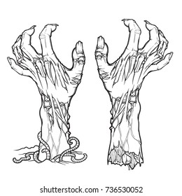 Pair of zombie hands rising from the ground and torn apart. lifelike depiction of the rotting flash with ragged skin, protruding bones and cracked nails. linear drawing isolated on white background