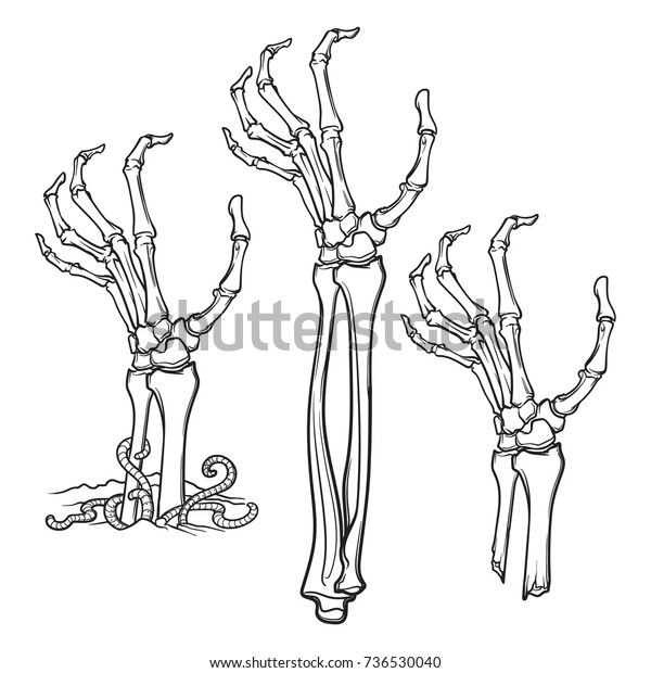 Pair Zombie Hands Rising Ground Torn Stock Vector Royalty Free