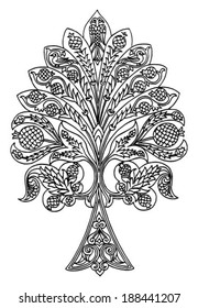 Paisley Design 