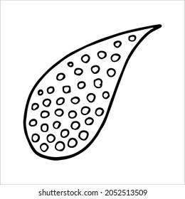 Paisley single doodle element, simple hand drawing, black and white vector image