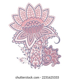 Paisley vector isolated pattern. Floral Vintage illustration