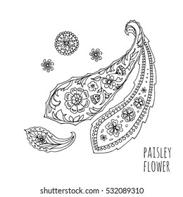 Paisley.Pattern For Coloring Book. Sketch. Hand-drawn Vector Illustration. Zentangle