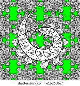 Paisleys elegant floral vector pattern background wallpaper illustration with vintage stylish beautiful modern 3d line art petals and green paisley flowers leaves and ornaments.
