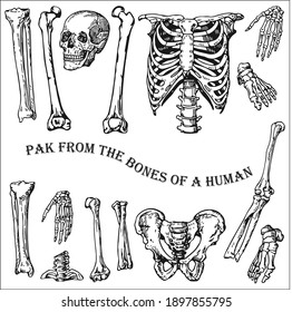 Pak from the bones of a human