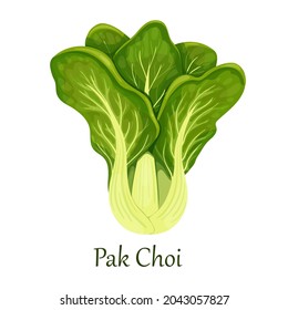チンゲン菜 のイラスト素材 画像 ベクター画像 Shutterstock