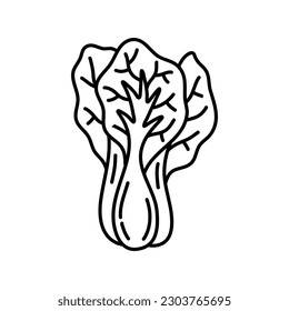 Pak choi outline icon vector illustration. Hand drawn line sketch of fresh bok choy plant, organic Chinese cabbage, leaf vegetable for vegetarian salad, farm product and cabbage for Asian cuisine