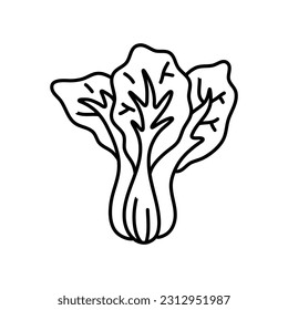 Pak choi outline icon vector illustration. Hand drawn line sketch of fresh bok choy plant, organic Chinese cabbage, leaf vegetable for vegetarian salad, farm product and cabbage for Asian cuisine