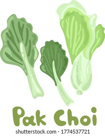Imagen de archivo de Pak Choi. Stem Bok Chay. Basura china. Ilustración vectorial de un pak choi fresco aislado en un fondo blanco. Ideal para artículos ambientales, diseño web, recomendaciones dietéticas.
