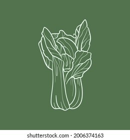 Pak choy cabbage Line vector illustration. Detailed Food icon for mobile concept, print, menu, and web apps. For for restaurant, bar, vegan, healthy and organic food, market, farmers market.