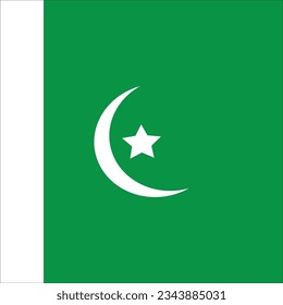 Pak Flag. people watch all over the world.