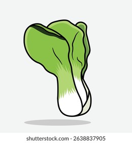 Pakcoy vegetable vector illustration, simple vector isolated on white background
