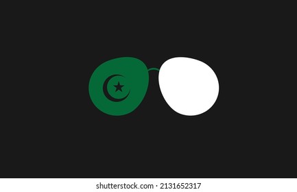 Pakistan color Sunglasses vector logo