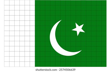 Pakistan country flag. Moon and stars flag. Asian country flag