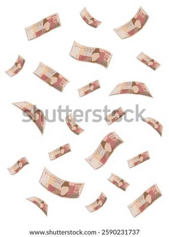 Pakistan currency notes flying in different angles vector illustration