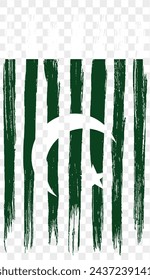 Pakistan flag with brush paint textured isolated  on png or transparent background. vector illustration
