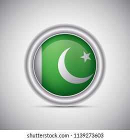 Pakistan flag button style. Vector image