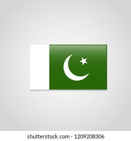 Pakistan flag with creative design vector