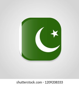 Pakistan flag with creative design vector